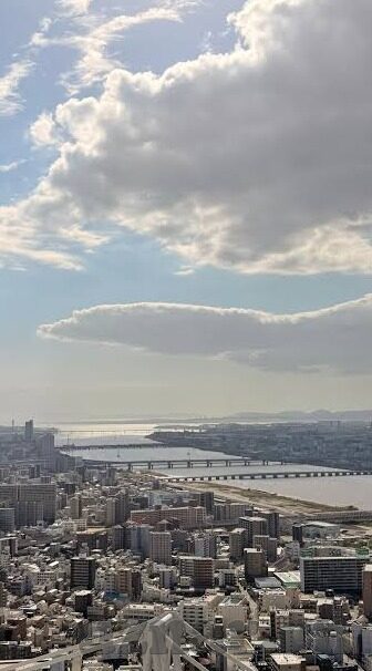 91麻豆精品在线播放-在强调这一点后，我们可以更加深入地探讨如何在互联网上寻找和利用适合自己的信息资源