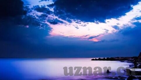 麻豆视频 91-麻豆视频背后的网络迷思与真相