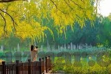 麻豆视频app下载网站-数字娱乐新体验，麻豆视频APP下载的正确途径与影响浅析