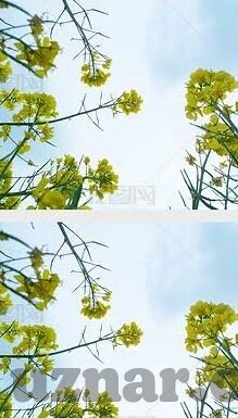 影音先锋伦理资源-影音先锋与伦理资源，在数字时代中寻找平衡
